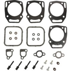 841191 Briggs & Stratton, Gaskets 