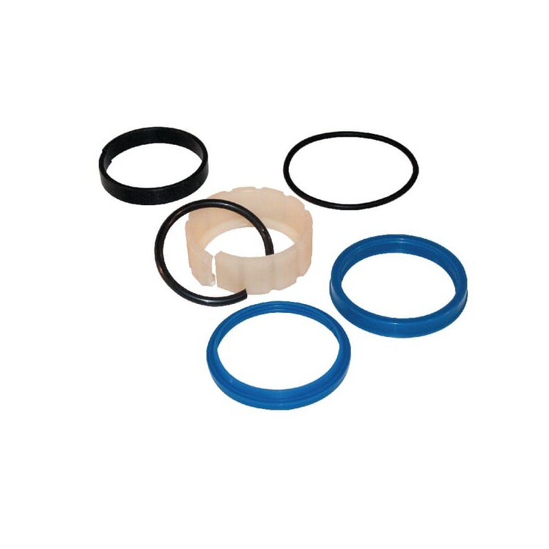 Seal kit for 248.03.500 - 87001303 Seal kit for 248.03.500 - 87001303
