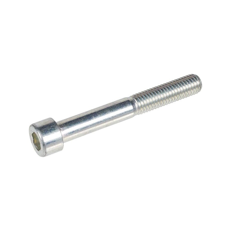 Screw Socket Head Bertolini - 863575002 Screw Socket Head Bertolini - 863575002