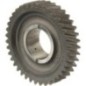 Driven reductor wheel 39 teeth - 86120015N Driven reductor wheel 39 teeth - 86120015N