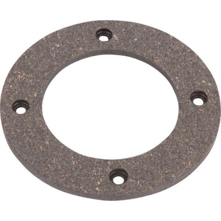 Lining disc - 87313190N