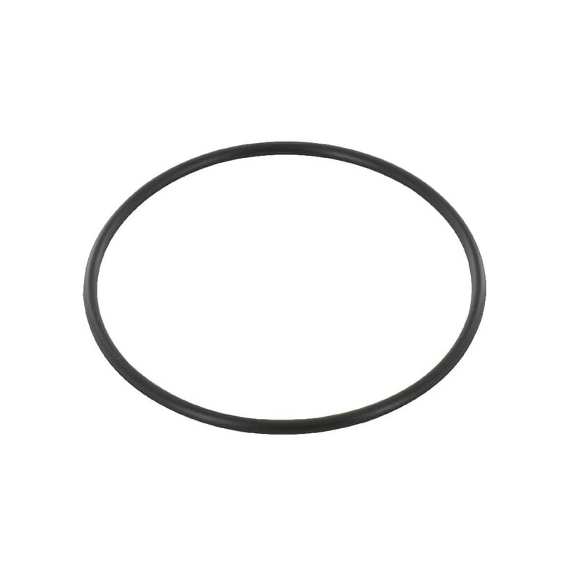 O-Ring - 87421145 O-Ring - 87421145