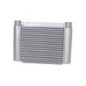 Intercooler - 87541604N