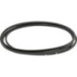 Belt - 87664428 Belt - 87664428