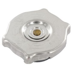 Radiator caps – produkty dostępne w rolniczeczesci.pl