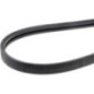 V-belt - 87580100