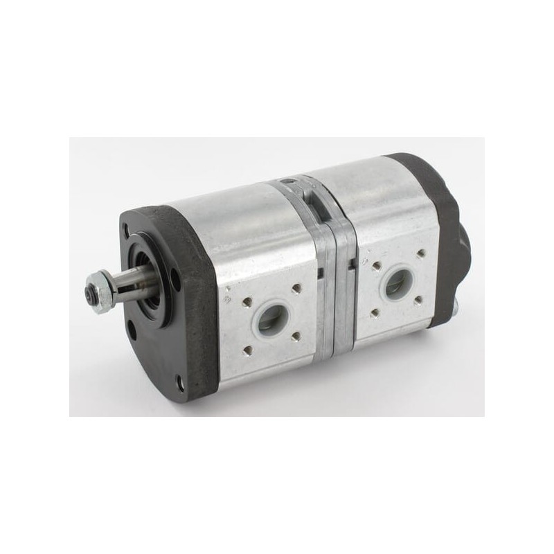 Double hydraulic pump - 89880C91 Double hydraulic pump - 89880C91