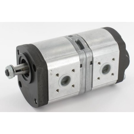 Double hydraulic pump - 89880C91