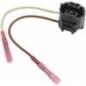 Plug - 8KB863949011