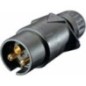 Stecker 3-pol. - 8JA002263031