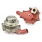 Wasserpumpe - 87800115OMP Wasserpumpe - 87800115OMP