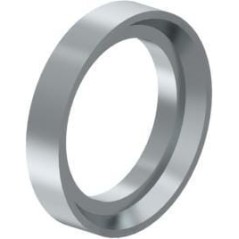 Anlaufring - 8930300604