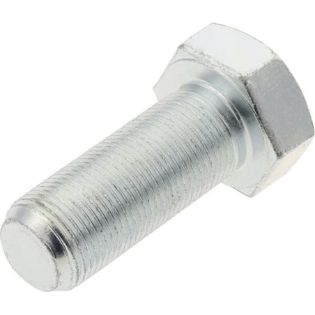 Crankshaft pulley bolt - 89003011N