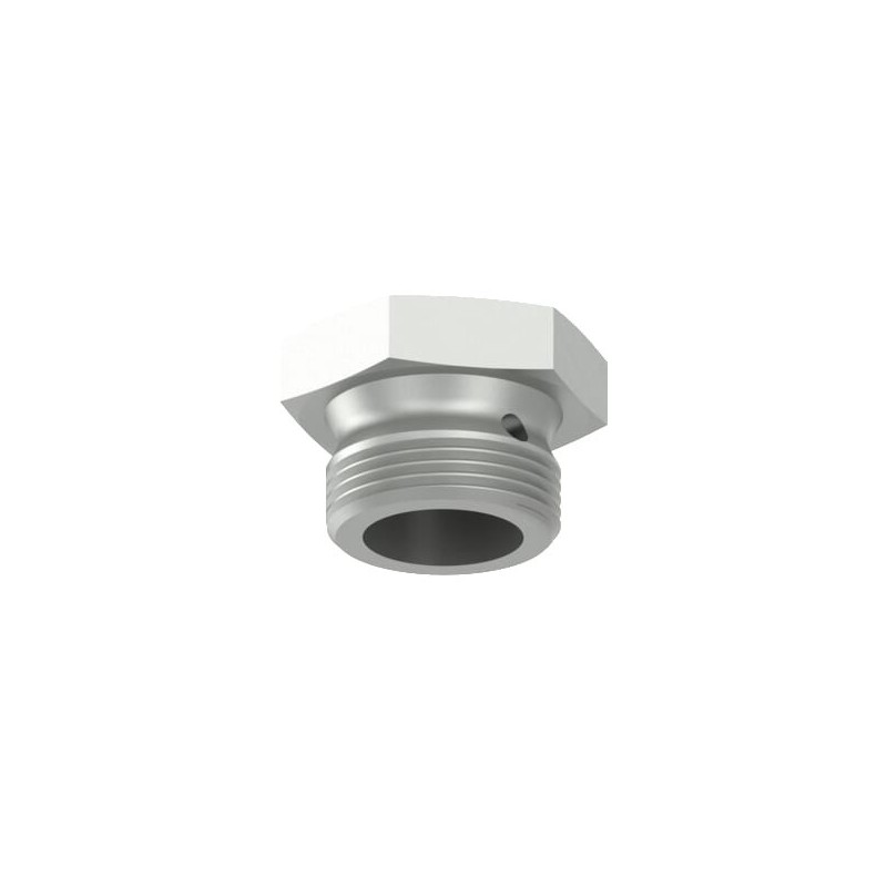 Screw plug - 8930100704