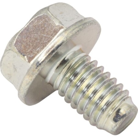 Bolt, flange, 6x10 - 90008ZE2003