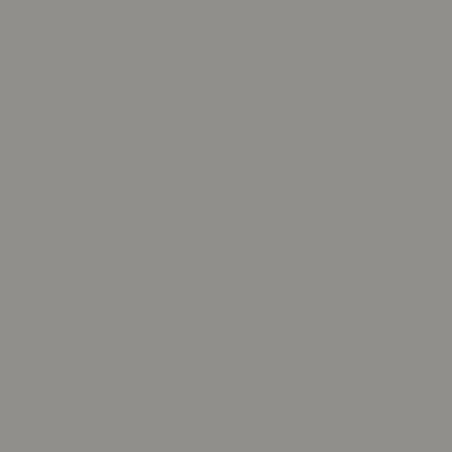 RAL 9007 Graualuminium 1 L - 900708KR