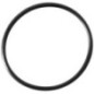 O-ring - 920552203 O-ring - 920552203