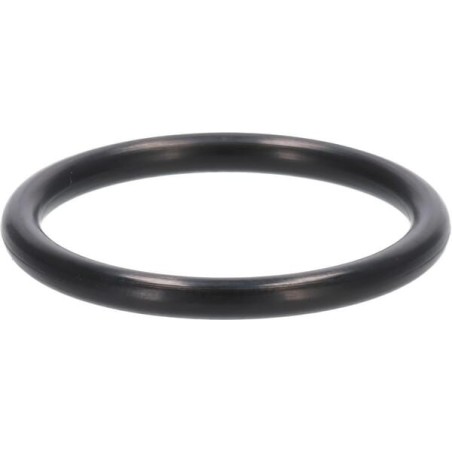 O-Ring, 31,7 mm - 920552211