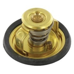 Termostat - 9195001