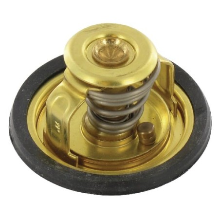 Termostat - 9195001