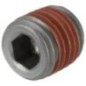 Oil plug - 920660880 Oil plug - 920660880