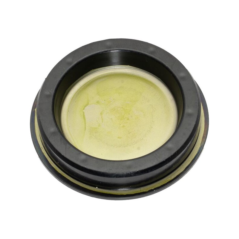 Plug, Seal, 47x10 - 91261740003