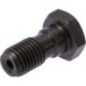 Hollow screw - 9305110