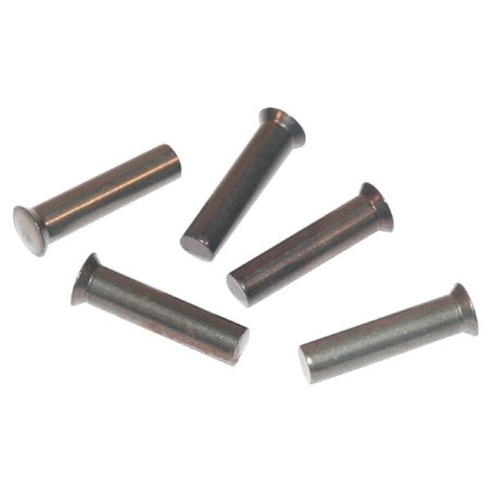 Rivets and screws – produkty dostępne w rolniczeczesci.pl