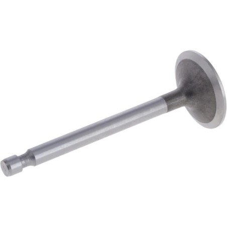 Intake valve - 9652162