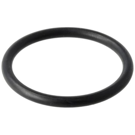 Seal ring - 96459452820