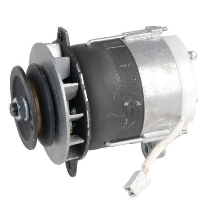 Alternators – produkty dostępne w rolniczeczesci.pl