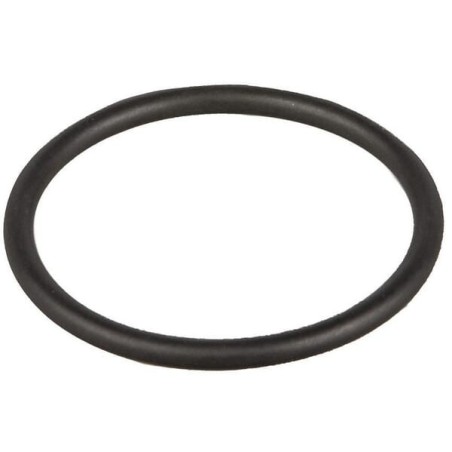 Dichtungsring - 96459484050