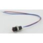 Bulbs 12V - 98051 Bulbs 12V - 98051