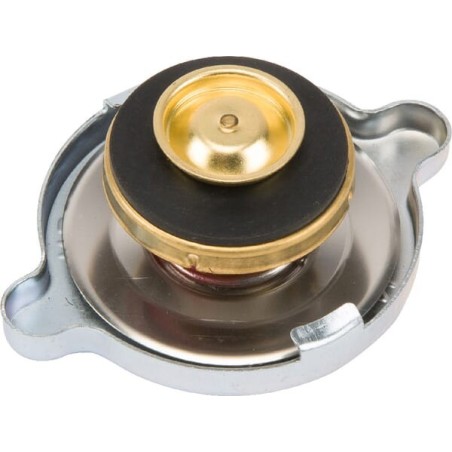 Radiator cap - 968816M2