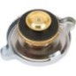 Radiator cap - 968816M2 Radiator cap - 968816M2