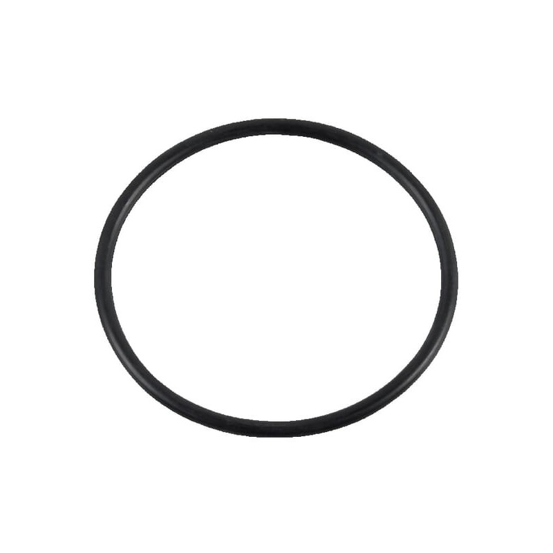 O-ring - 9992069