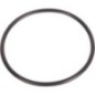 O-Ring - 9846875 O-Ring - 9846875
