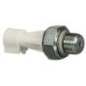 Oil pressure sensor - 98445111FPT