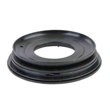 Dichtung mit Bund - AH11274
