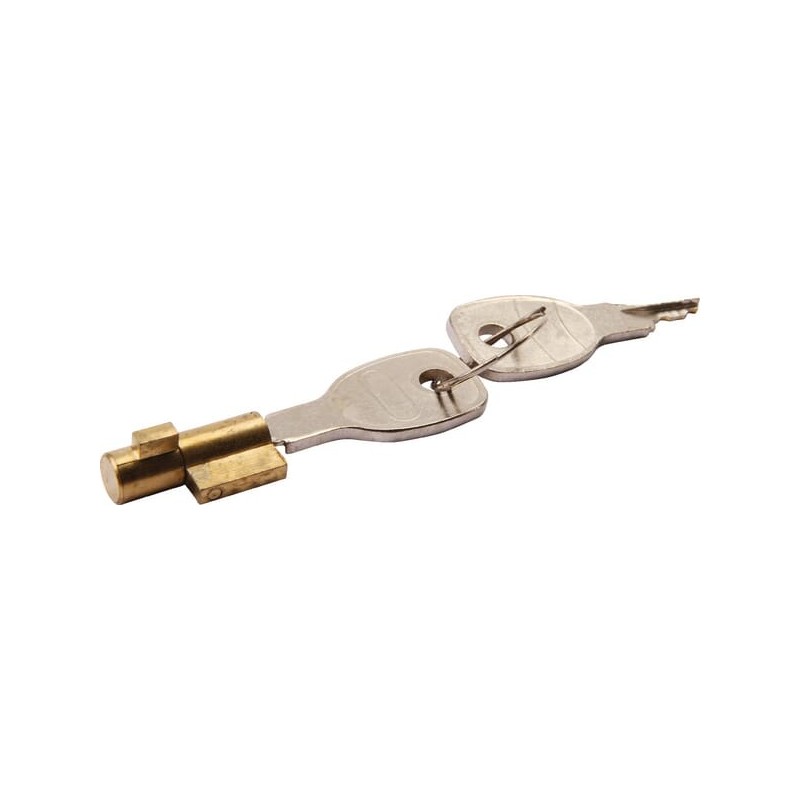 Ball hitch lock - AH10050