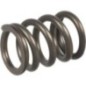 Compression spring - AGW77773