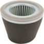 Air filter - AGW70209