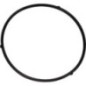 Seal - AK411906 Seal - AK411906