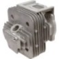 Cylinder head - AK463230