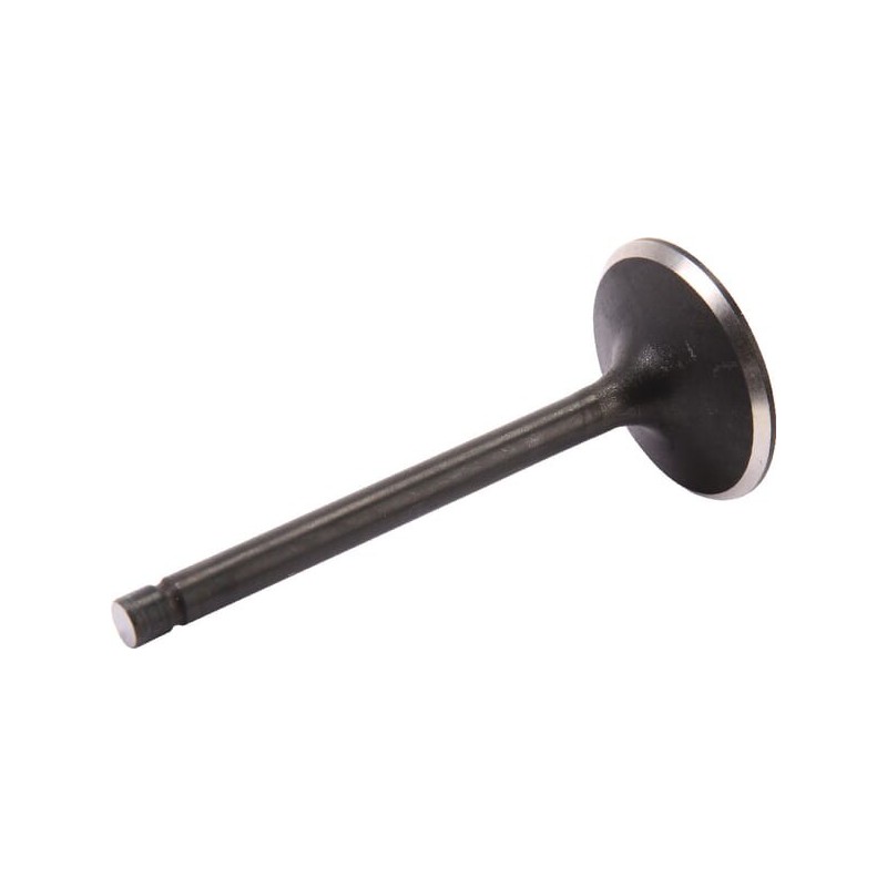 Suction delivery kit - AK455241 Suction delivery kit - AK455241