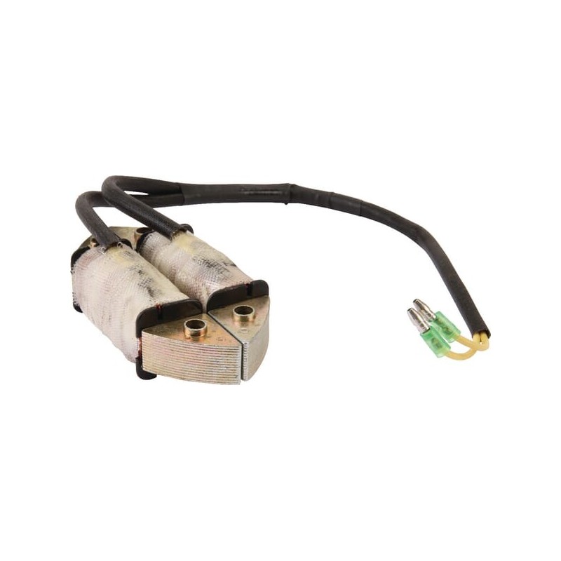Alternator stator - AK455199 Alternator stator - AK455199