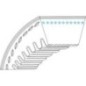 V-belt - AK531504 V-belt - AK531504