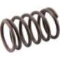 Ventilfeder - AK455244 Ventilfeder - AK455244