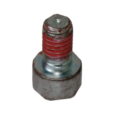 Socket bolt 8X016 - AK700963