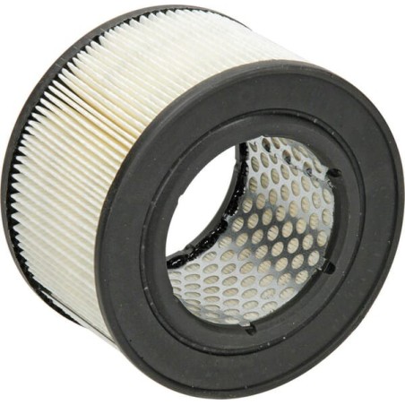 Air filter Fleetguard - AF25481